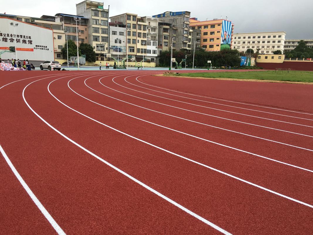 乐东黎族自治县EPDM颗粒塑胶跑道材料 - 推荐